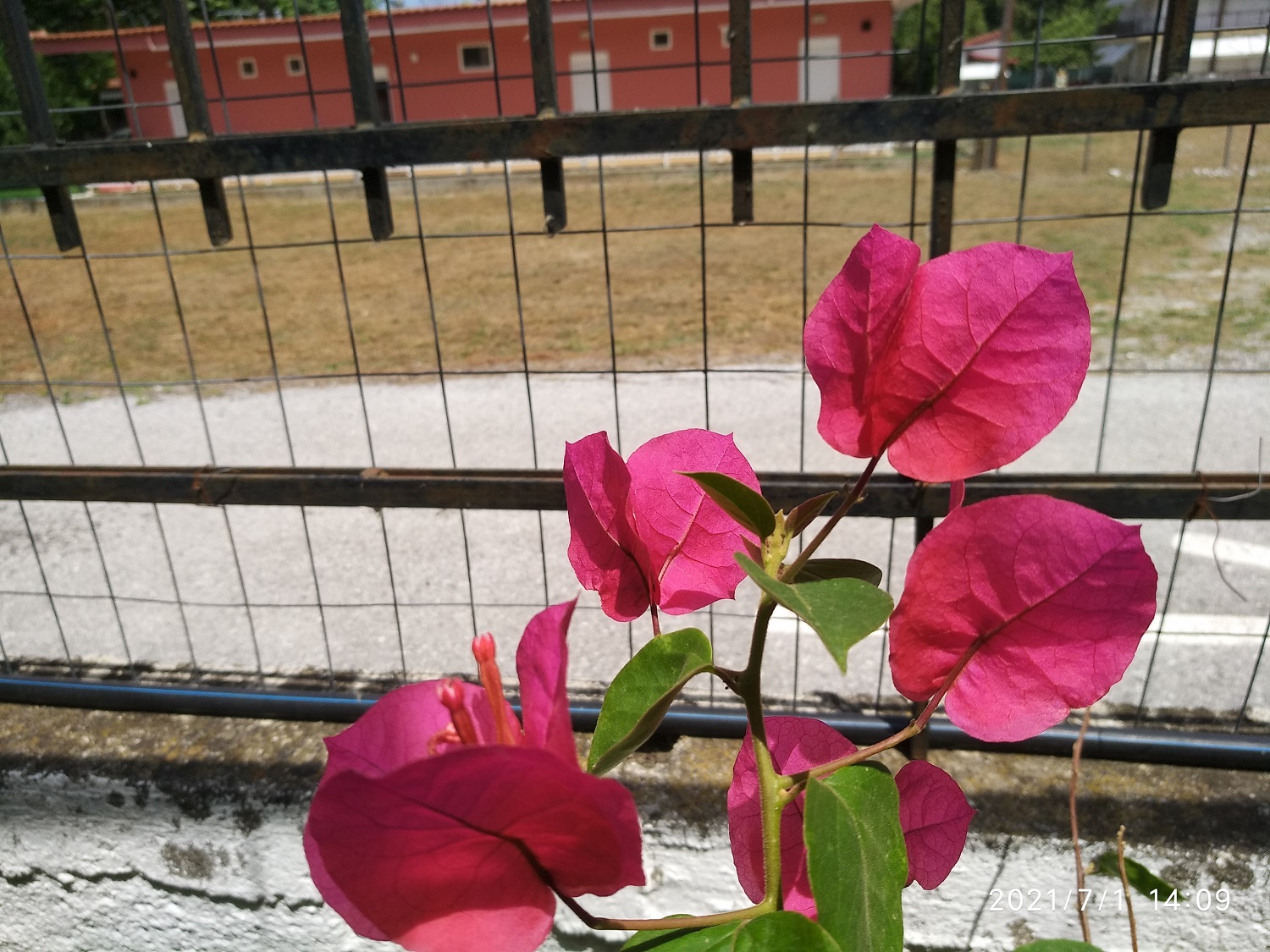 Image Not Available!