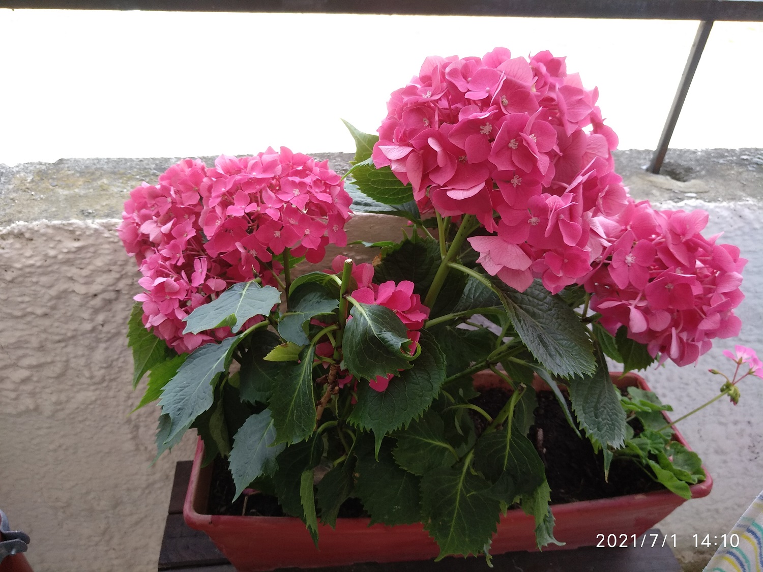 Image Not Available!