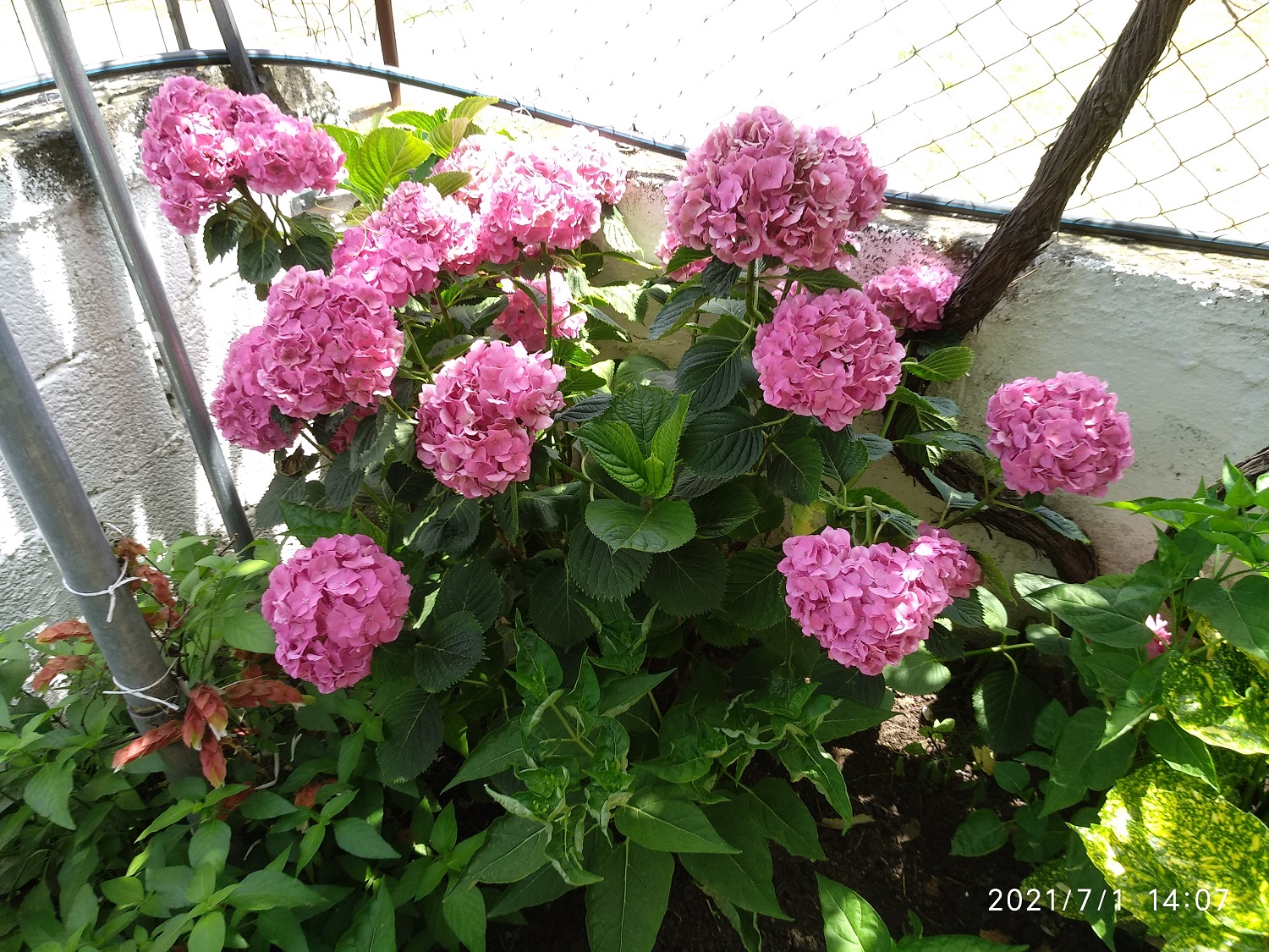 Image Not Available!